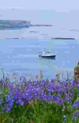 Cruise the Scottish Hebridean Islands